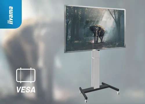standard vesa