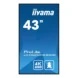 iiyama prolite 43 lh4360uhs-b2ag 4k pion