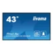 iiyama prolite 43 lh4360uhs-b2ag 4k poziom